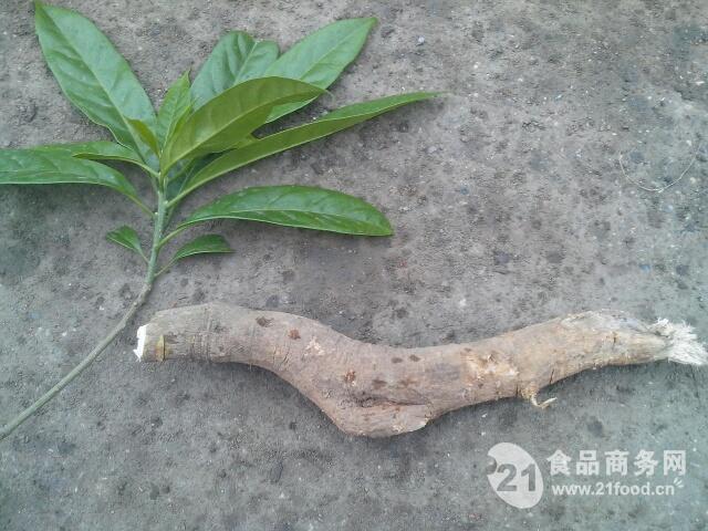 馬比木提取物(25kg/桶)包郵_中國西安_植物提取物-
