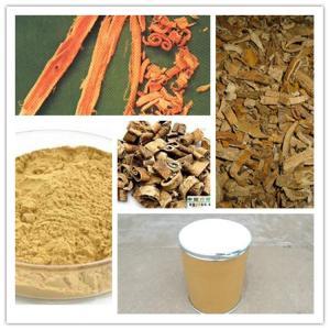 桑白皮提取物10:1 植物提取物 西安昌岳現貨供應 中藥提取