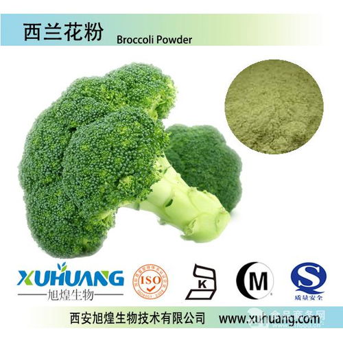 旭煌生物西蘭花粉在西安的批發(fā)價格與植物提取物市場分析